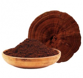 Bào tử nấm linh chi đỏ