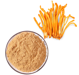 Bột nấm đông trùng hạ thảo