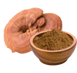 Bột nấm linh chi đỏ