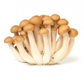 Nấm linh chi nâu tươi 250gr