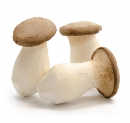 Nấm đùi gà tươi 500gr